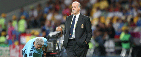 del-bosque-touchline490ai
