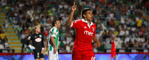 salvio490ai