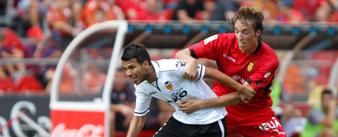 pina490ai