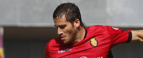 hemed490ai