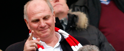 hoeness490ai