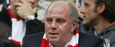hoeness490ai