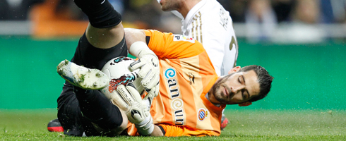 kiko-casilla490ai