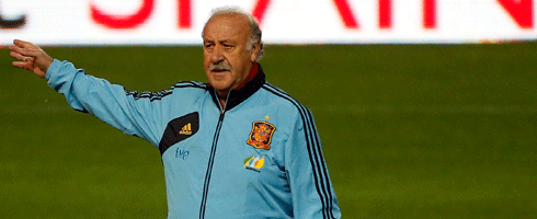 del-bosque-training-arm490ai