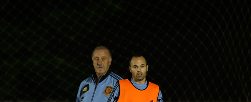 iniesta-del-bosque490ai