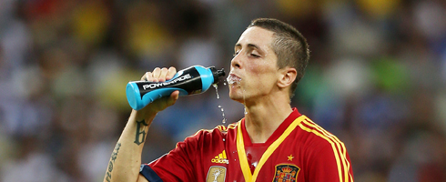 torres-italy490ai