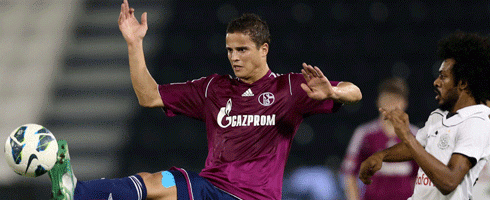 ibrahim-afellay490ai
