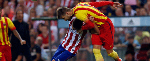 pique-villa490ai