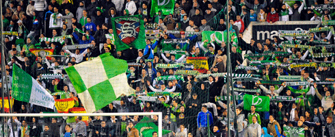 betis-fans490ai