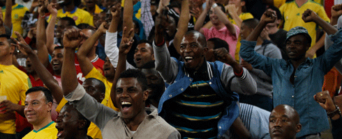 south-africa-fans490ai