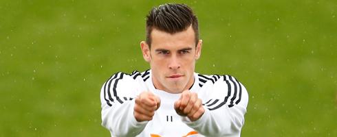 bale-arms490ai