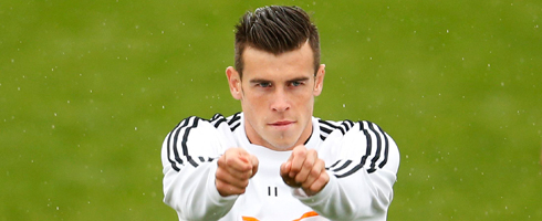 bale-arms490ai