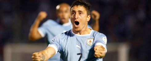 cebolla-uruguay490ai