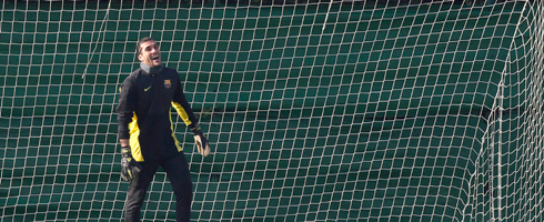 pinto-training490ai