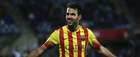 cesc-arms490ai