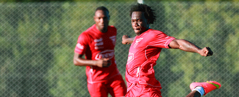caicedo-training490ai