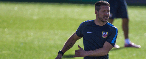 simeone-training490ai