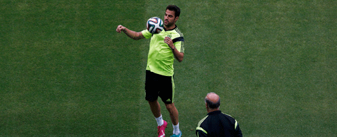 fabregas-del-bosque-trainin