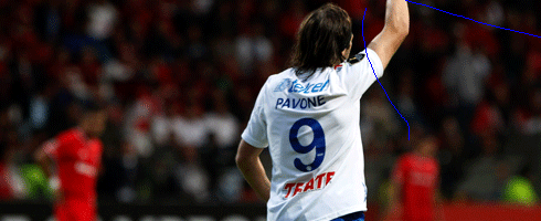 pavone-back490ai