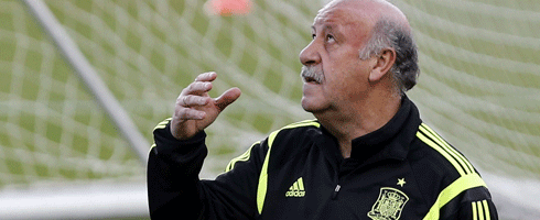 del-bosque-looks-up490epa