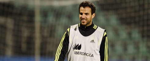 cesc-spain-training490epa