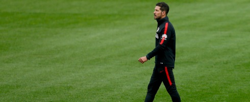 simeone-walk490epa