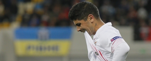 banega-down490epa