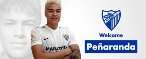 penaranada-malaga-05012017