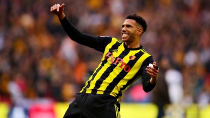 Watford midfielder Etienne Capoue