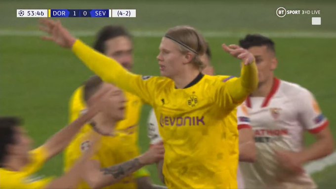 Erling Haaland