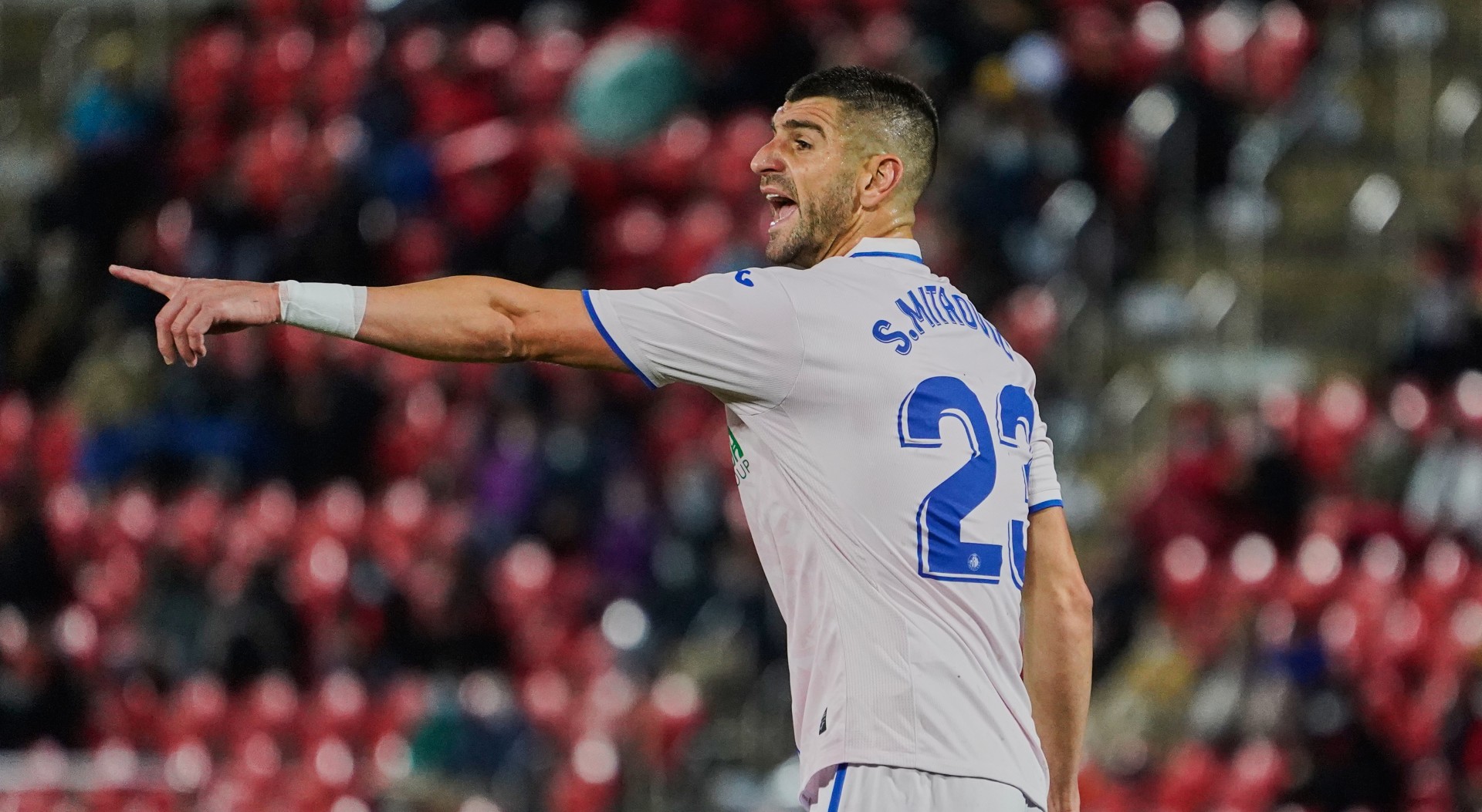 Stefan Mitrovic