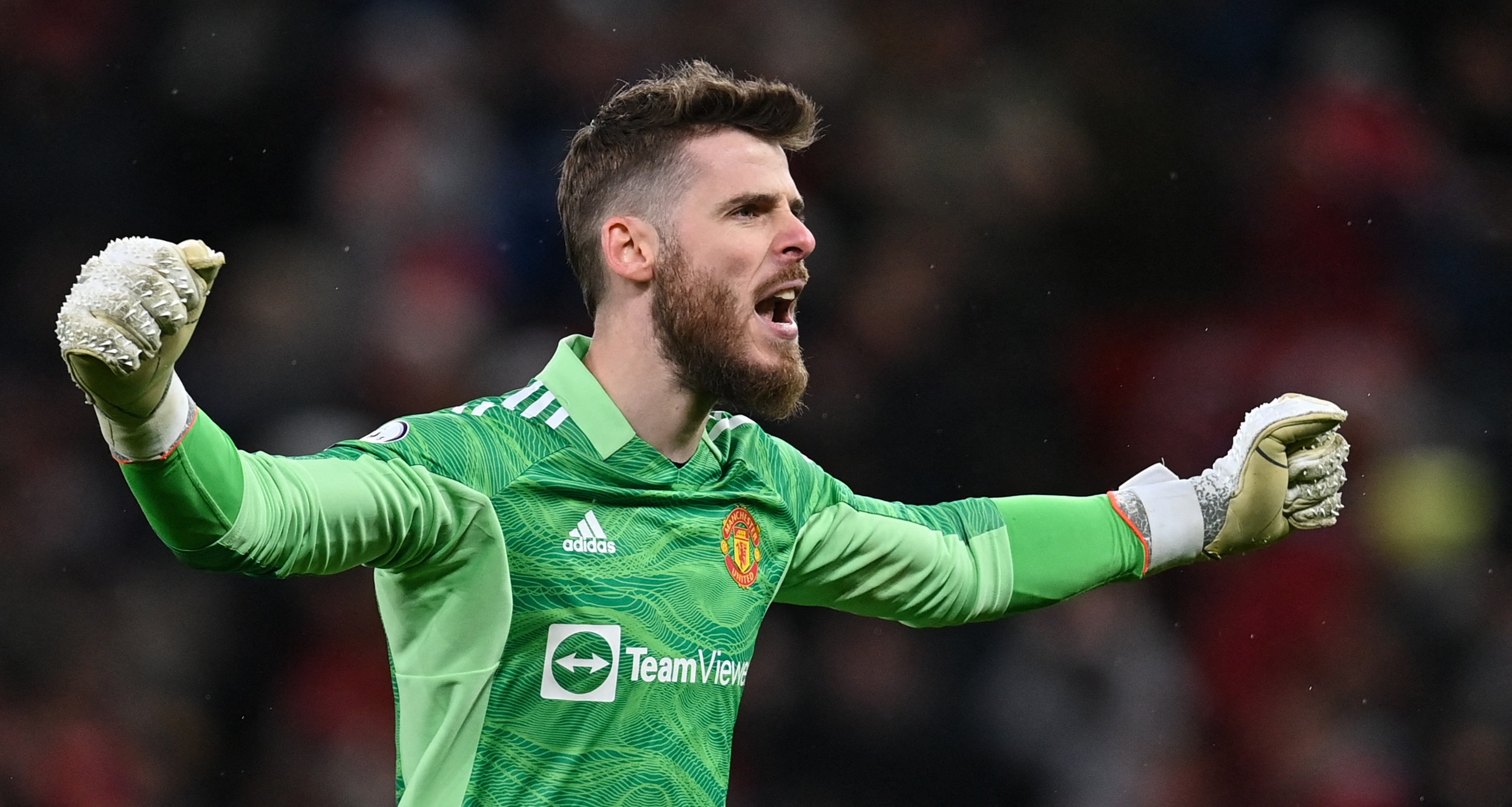 David de Gea