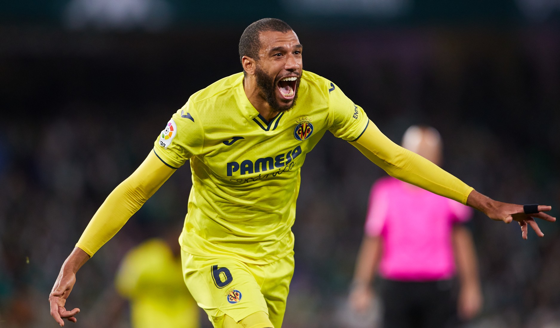 Etienne Capoue
