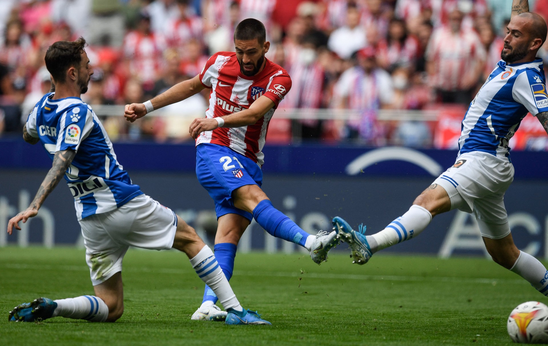 Yannick Carrasco