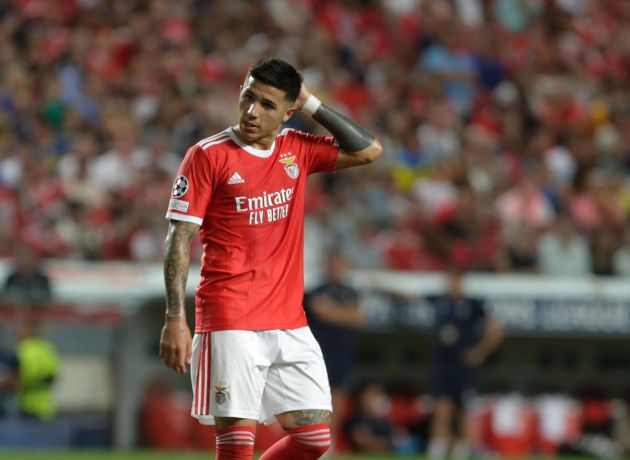 Enzo Fernandez