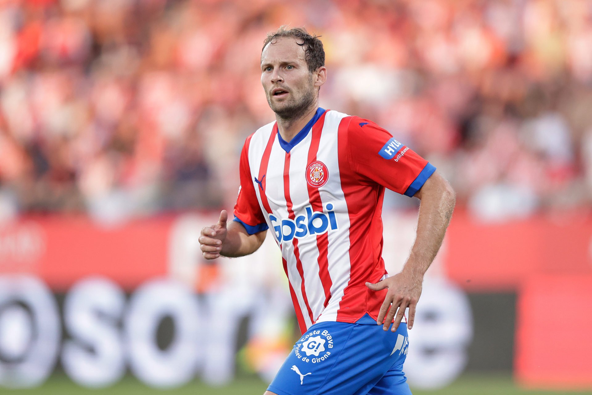 Daley Blind