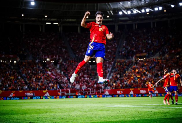 Zubimendi celebrates for Spain.