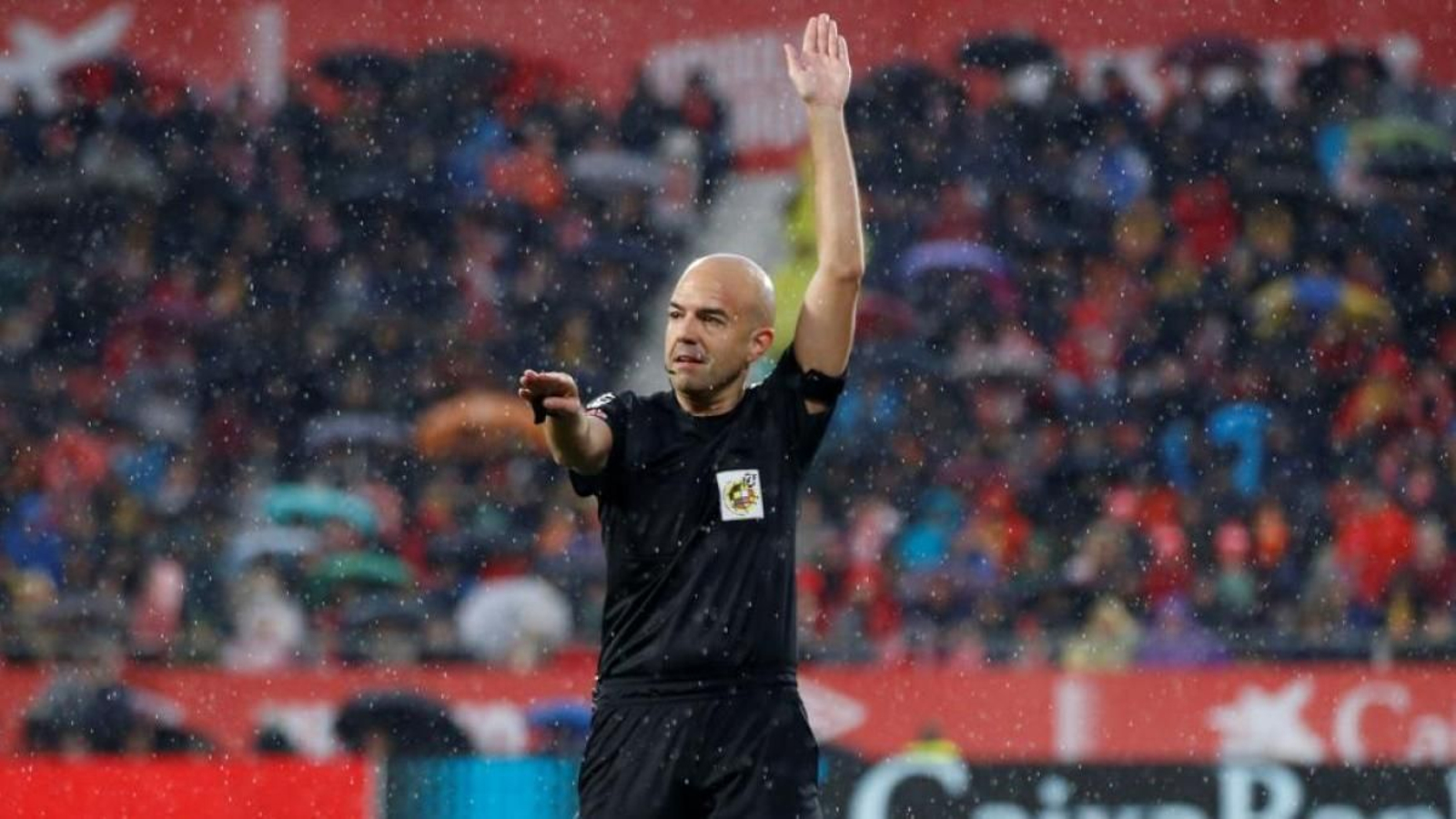 Gonzalez Fuertes in action.